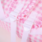 Pink Gingham Back Pack and Lunch bag